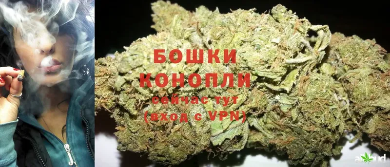 где купить наркотик  hydra как зайти  МАРИХУАНА OG Kush  Жирновск 